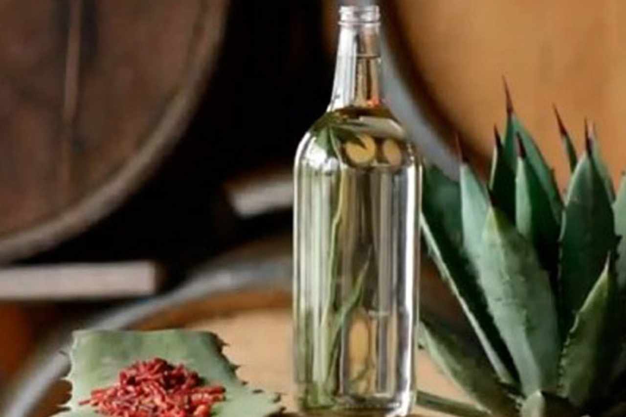 Crean En Oaxaca El Instituto Sensorial Del Mezcal Hidrocalidodigital