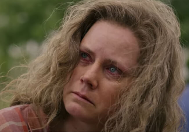 Amy Adams Y Glenn Close Protagonizan ‘Hillbilly Elegy’ De Netflix ...