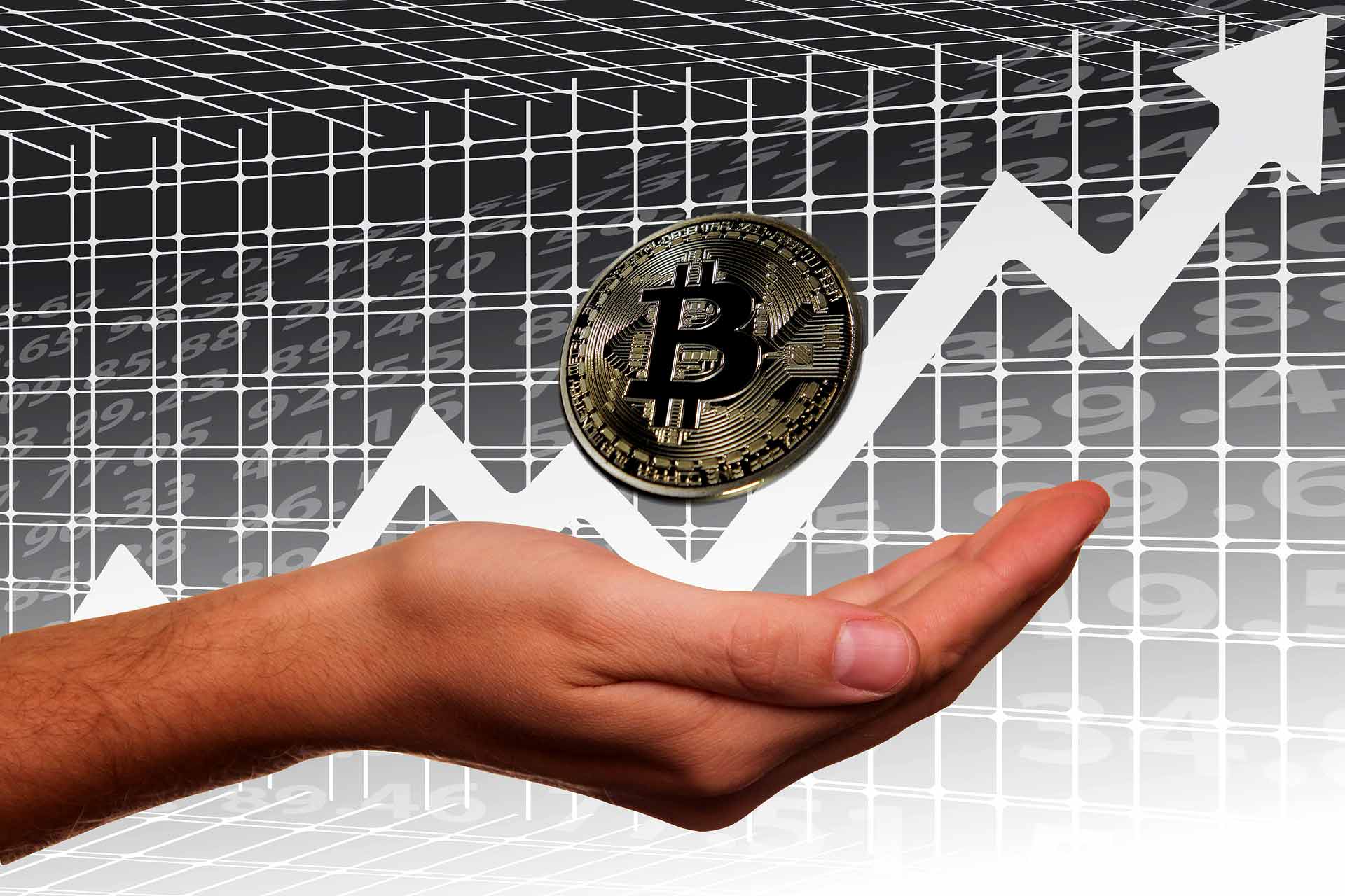 Bitcoin Logra Nuevo Máximo Histórico | HidrocalidoDigital.com