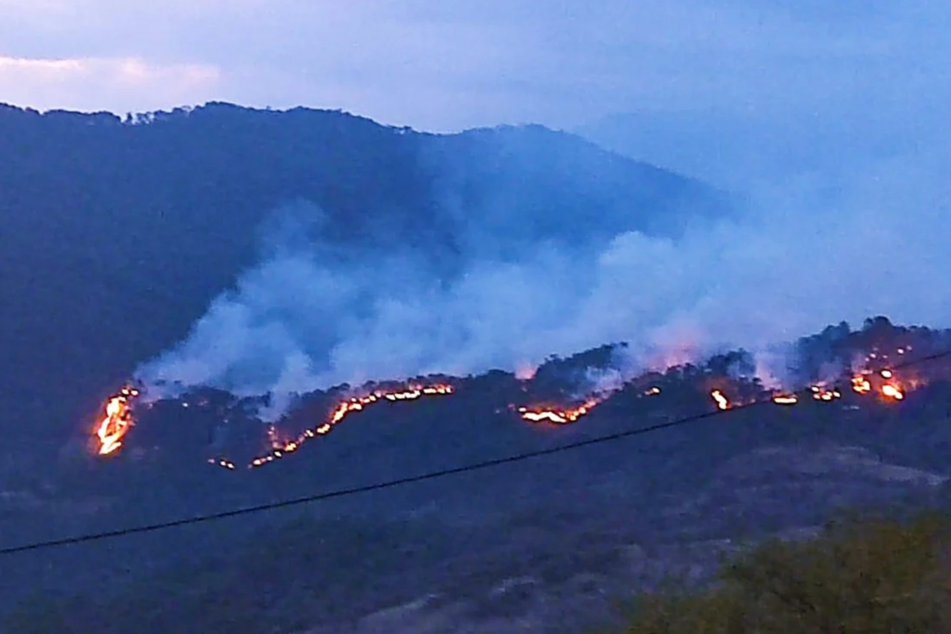 Incendio Forestal Avanza Hacia Comunidad Triqui De Oaxaca