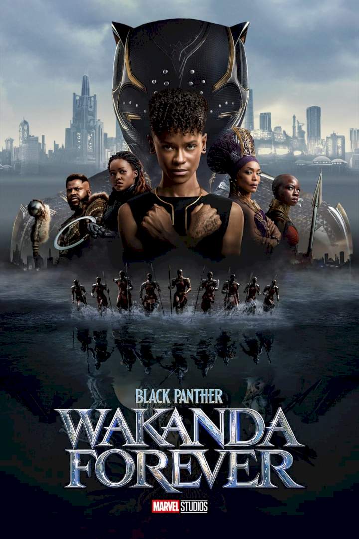 "Pantera Negra: Wakanda Por Siempre" Llega Al Streaming ...