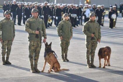 Marina jubila a Max y Ecko, perros rescatistas