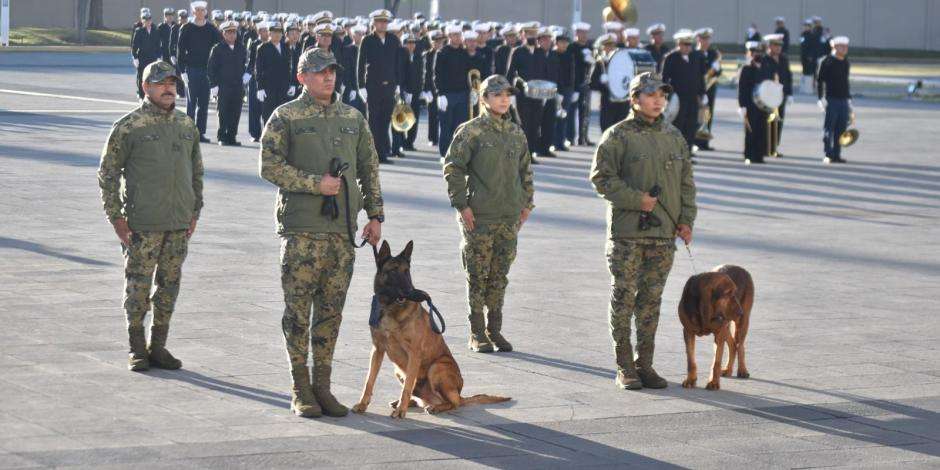 Marina jubila a Max y Ecko, perros rescatistas