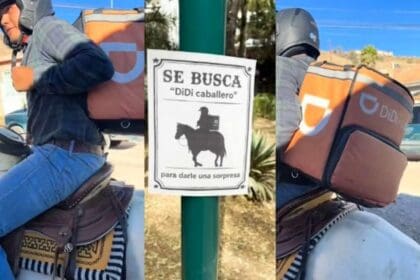 ¡Conmovedor! Regalan moto a repartidor que hacía entregas a caballo