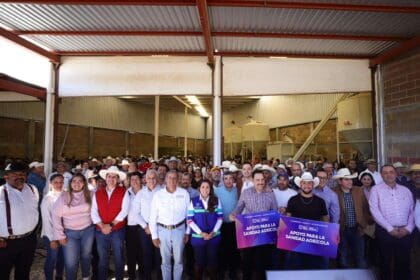 Tere anuncia más apoyos para el campo este año