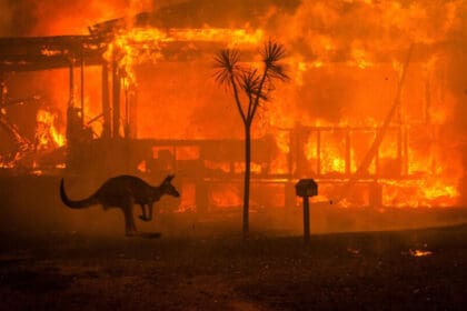 44 propiedades destruidas por incendios forestales en Australia