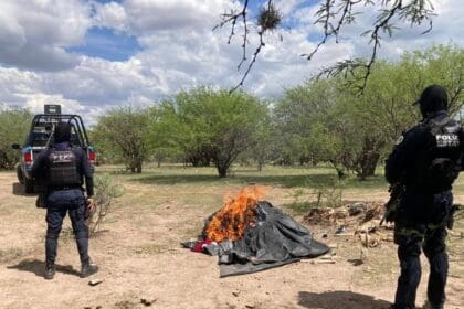 Desmantelan dos campamentos del crimen en Zacatecas