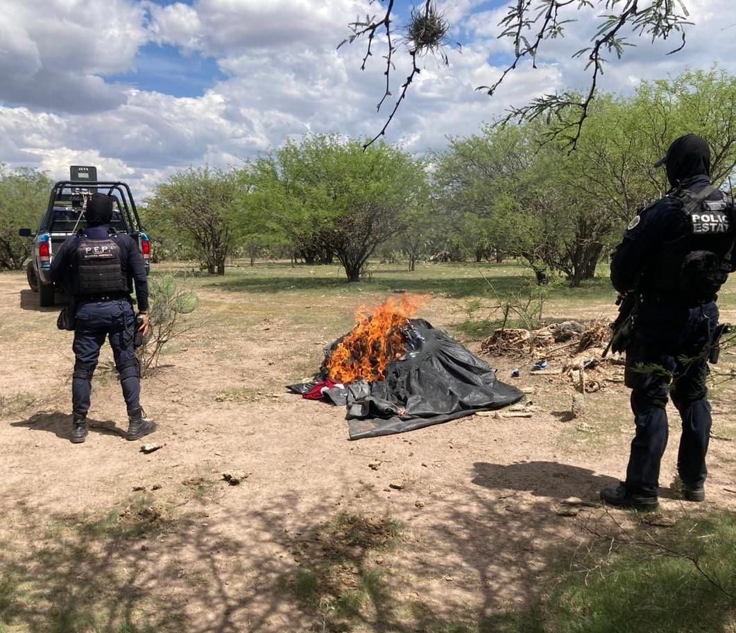 Desmantelan dos campamentos del crimen en Zacatecas