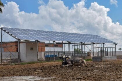 Anuncia Tere programa de Acompañamiento Técnico-Veterinario en tu Rancho