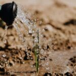 Ante escasez de agua, la UNAM emite 7 recomendaciones