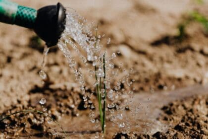 Ante escasez de agua, la UNAM emite 7 recomendaciones