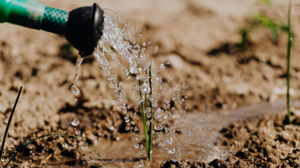 Ante escasez de agua, la UNAM emite 7 recomendaciones