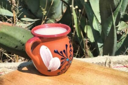 Hidalgo celebra el Día Nacional del Pulque