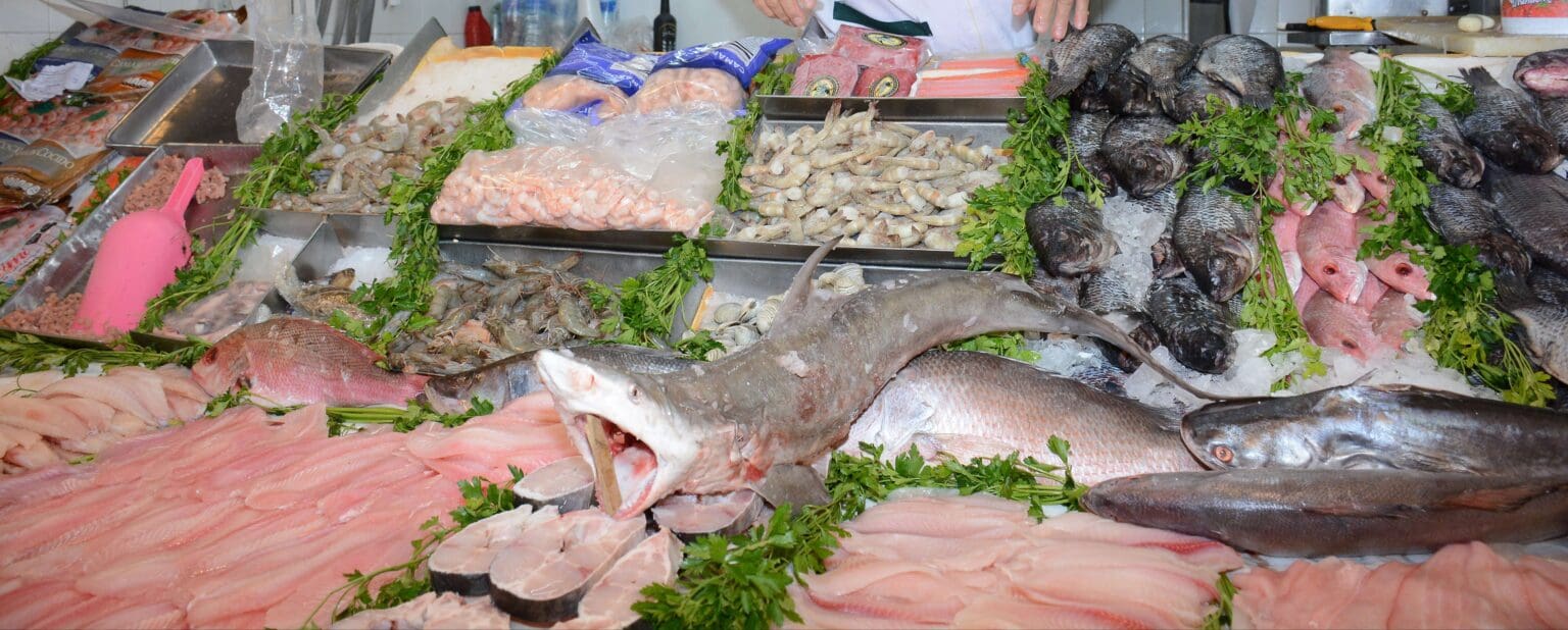 Cuaresma sin pescado; habrá desabasto por sequía