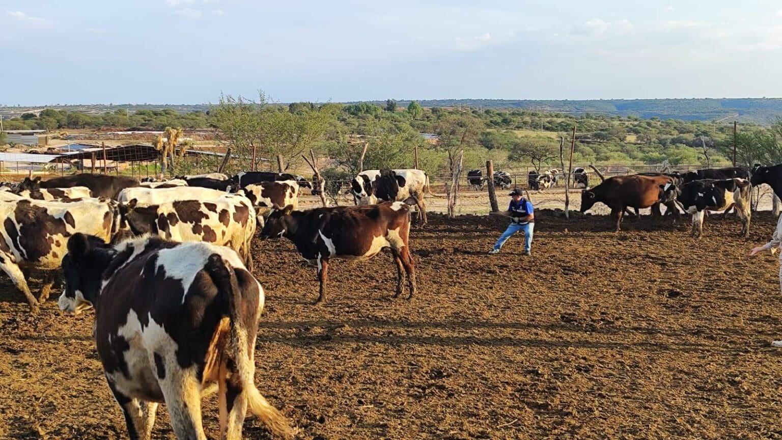 Invita Municipio a inscribirse a la Clínica Veterinaria Ambulatoria