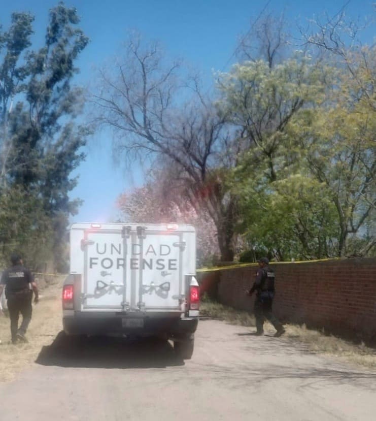 Hombre murió en su casa en la comunidad La Providencia y sus perros le devoraron el cuerpo