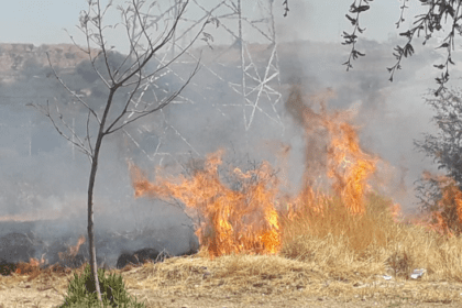 Sequía y calor disparan incendios