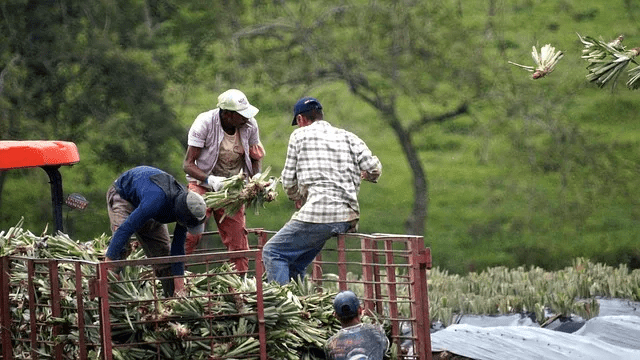 Suben las exportaciones agrícolas a Estados Unidos