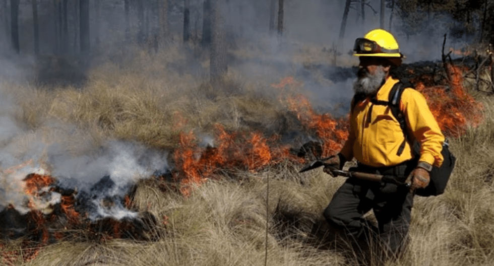 Continúan 113 incendios forestales activos en 20 estados: Conafor