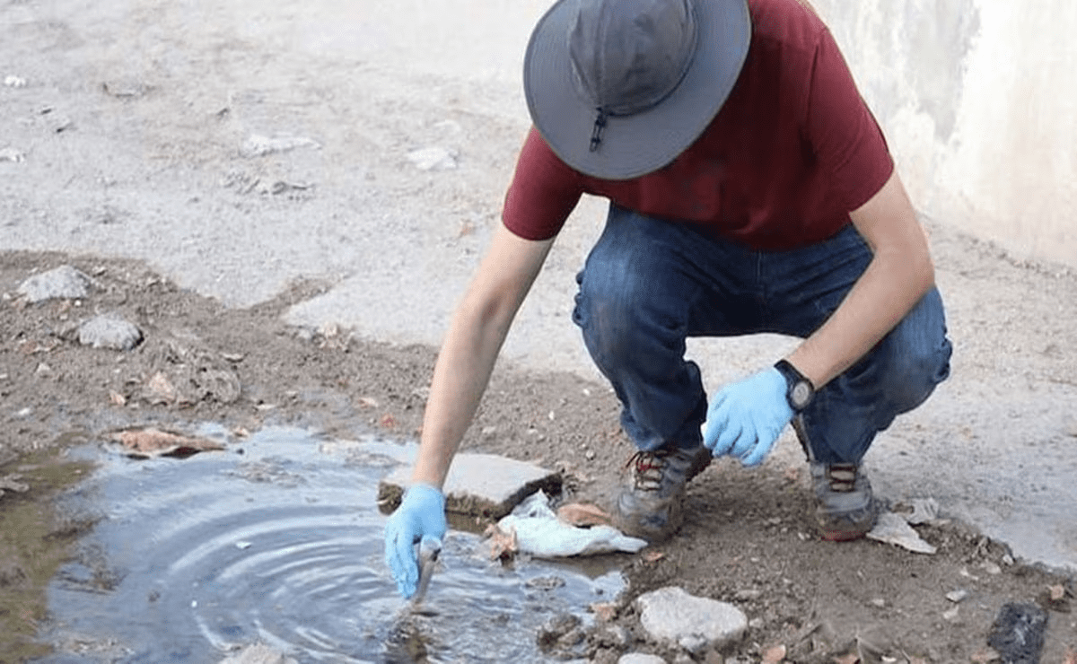 Baja California Sur en alerta por bacteria; van 4 muertes