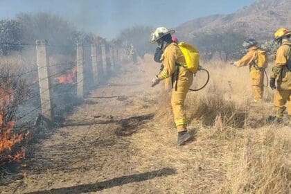 Alerta Municipio por temporada de incendios de pasto seco y forestales