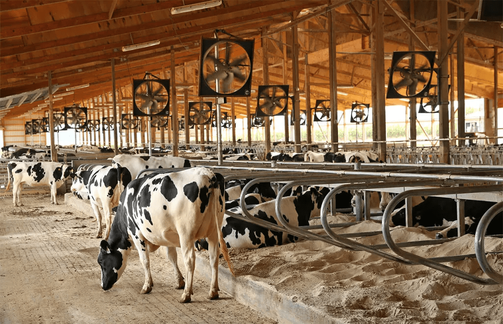 Sostienen reunión SADER y SEDRAE para buscar solución al problema de la leche