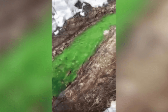 Río se tiñe de "color verde brillante" en Rusia