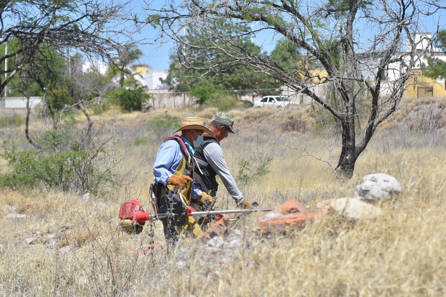 Trabaja la Semadesu en la prevención de incendios forestales