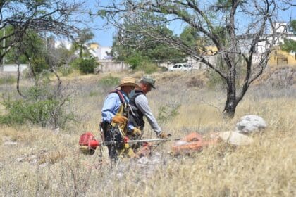 Trabaja la Semadesu en la prevención de incendios forestales