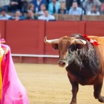 Serial Taurino 2025